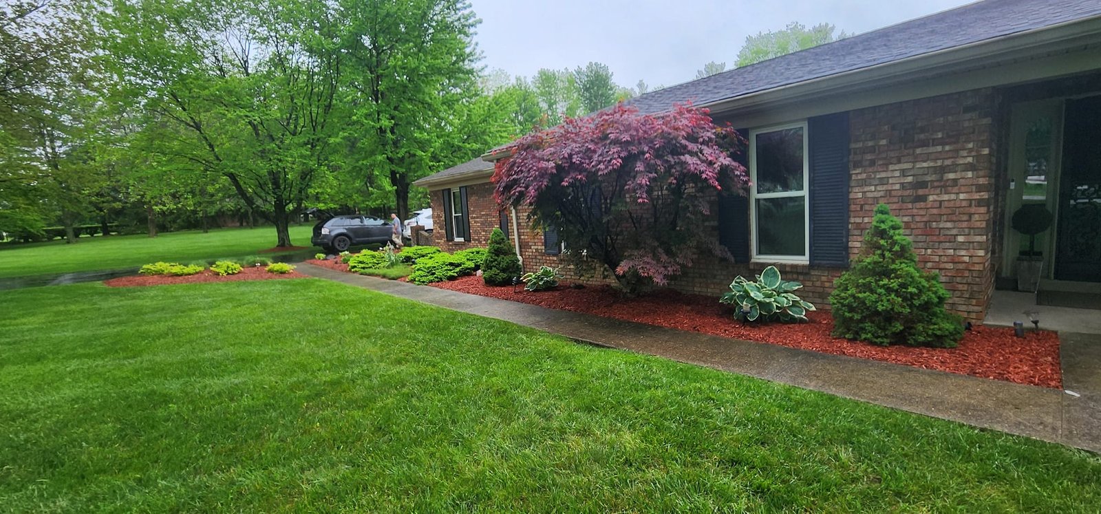 Discover easy landscaping tips for a beautiful, low-maintenance yard. From native plants to efficient irrigation, learn how to design a hassle-free outdoor space.